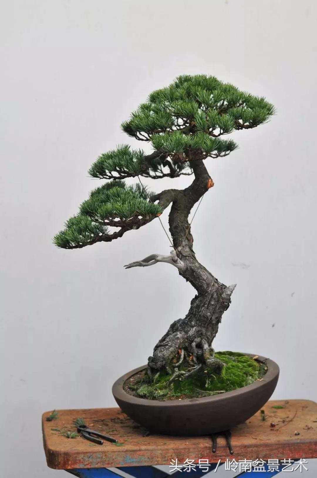 神来之笔绘画作品欣赏,神来之笔书法作品大全