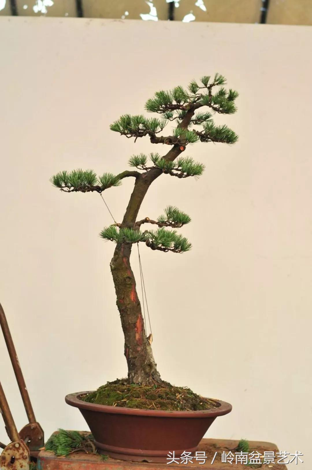 神来之笔绘画作品欣赏,神来之笔书法作品大全