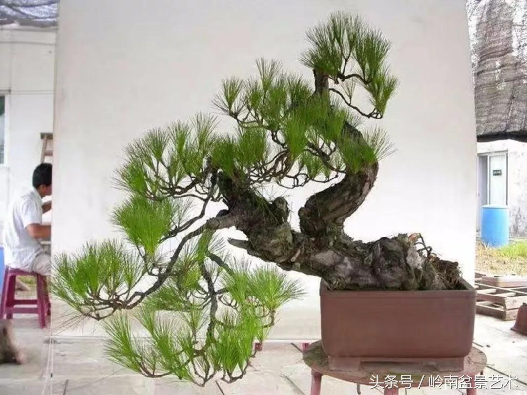 神来之笔绘画作品欣赏,神来之笔书法作品大全