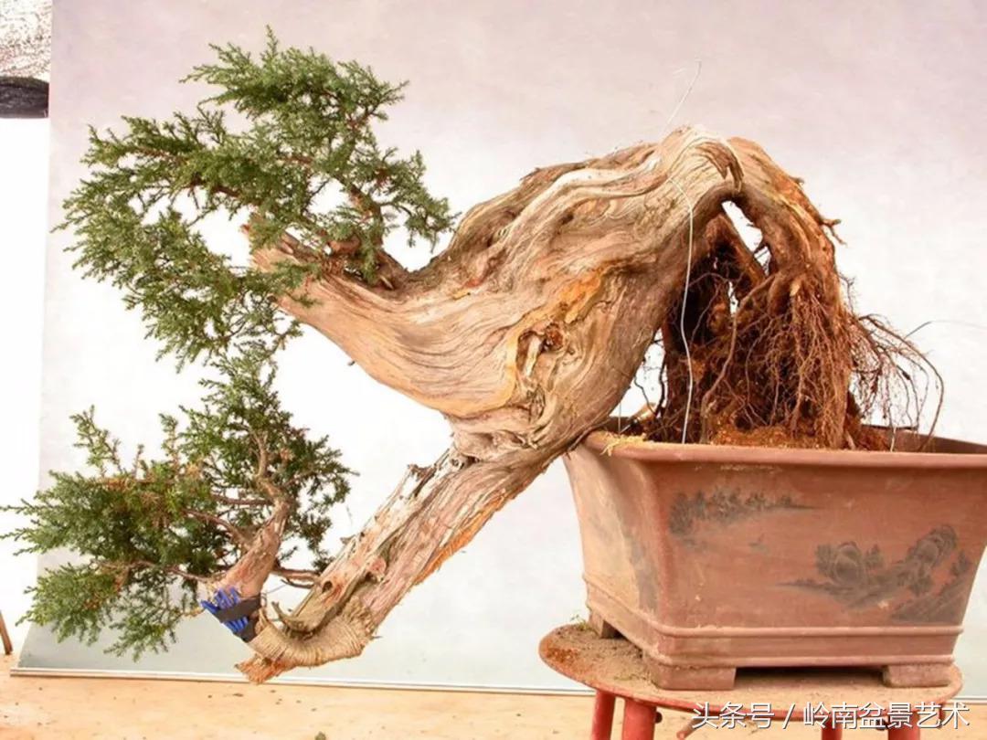 神来之笔绘画作品欣赏,神来之笔书法作品大全