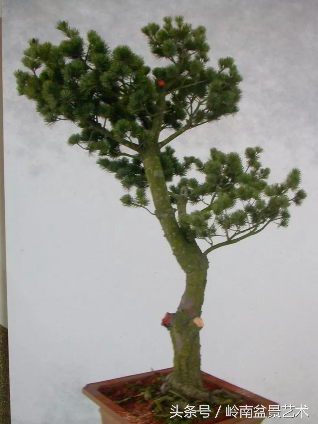 神来之笔绘画作品欣赏,神来之笔书法作品大全