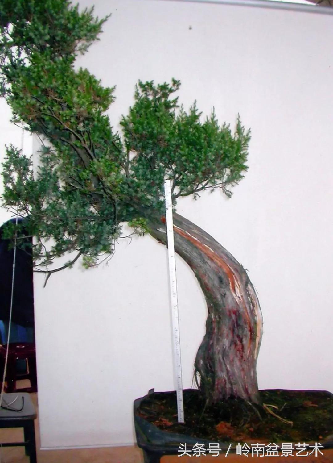 神来之笔绘画作品欣赏,神来之笔书法作品大全