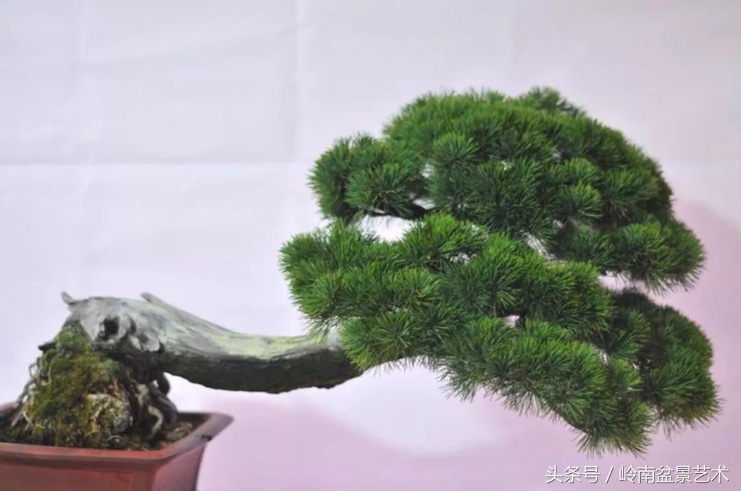 神来之笔绘画作品欣赏,神来之笔书法作品大全