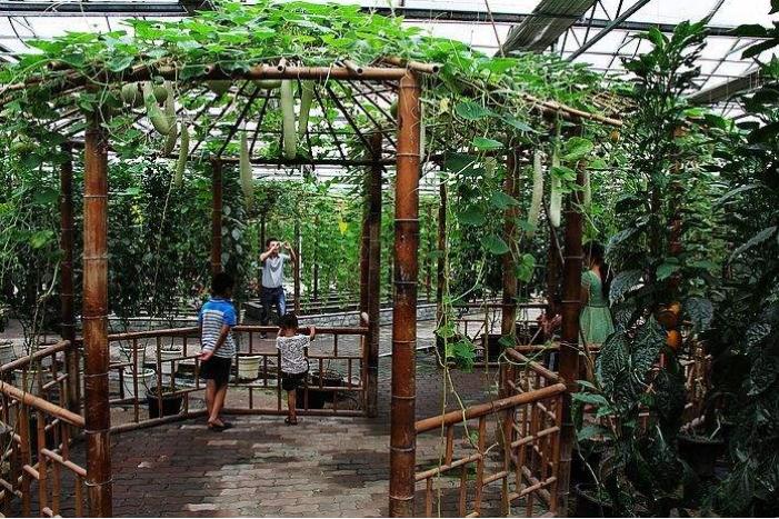 农场经营思路100条,最经典的农场经营模式