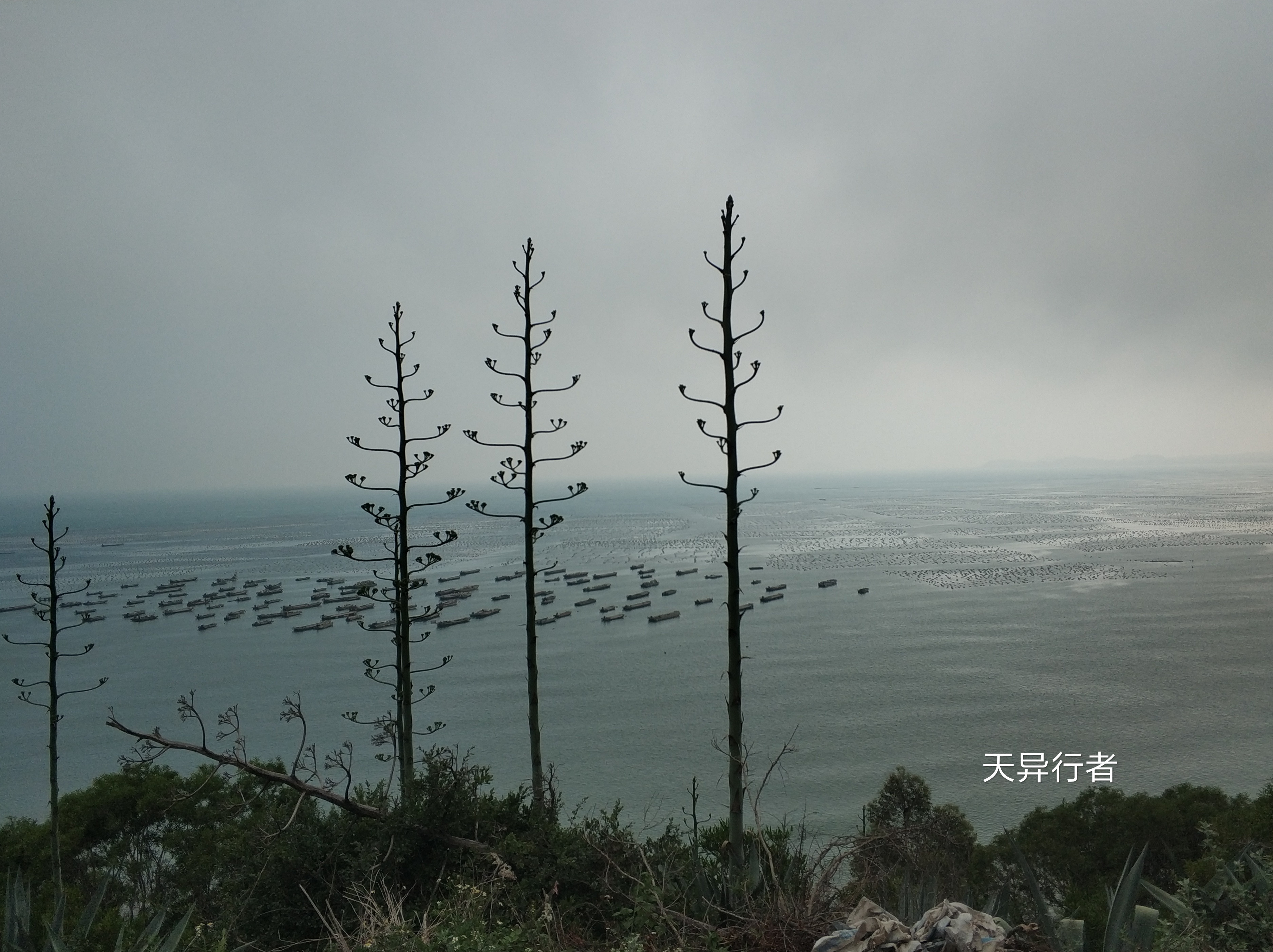 龙岩漳州三日自驾游攻略,漳州镇海角自驾旅游攻略图
