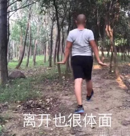 QQ宠物下线了，当年的你是悉心照料还是想掐死企鹅？