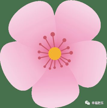 客栈民宿农家乐,客栈农家院