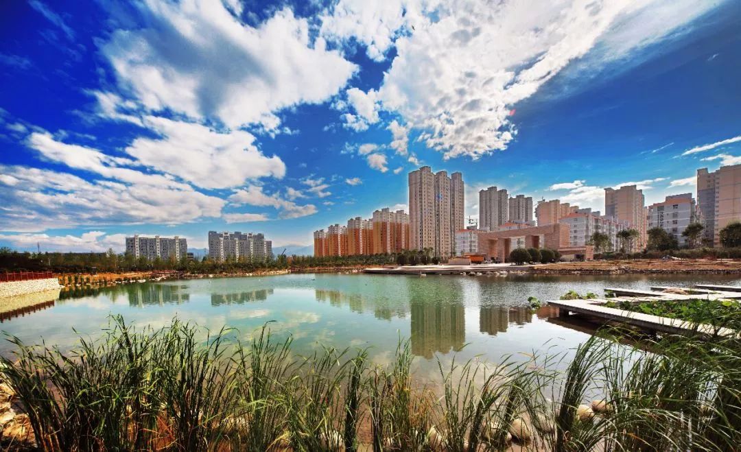 丰收节现场直播报道,丰收节央视新闻直播间