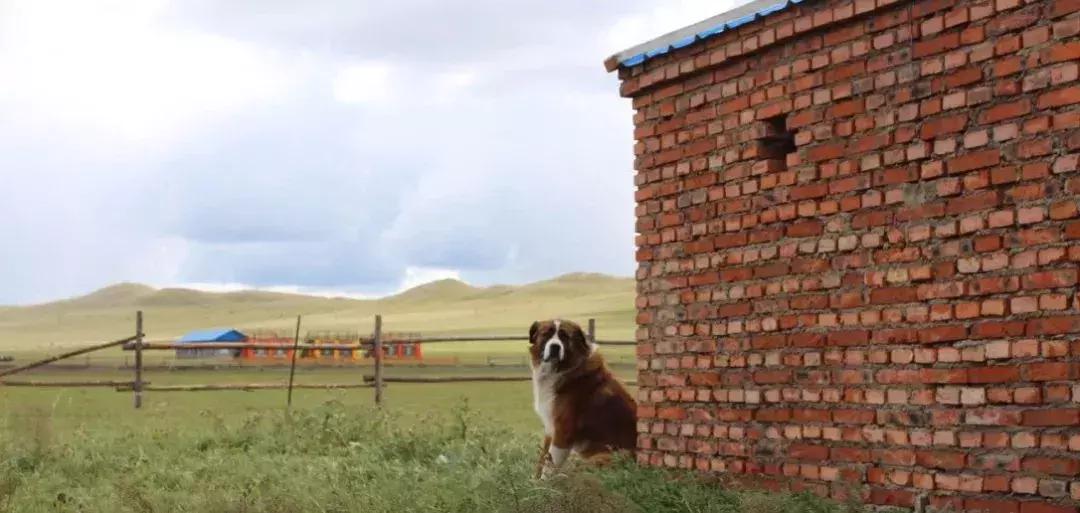 全新一代瑞虎8秘境雨林深度体验 (开19款1.6t豪华版瑞虎8自驾游)