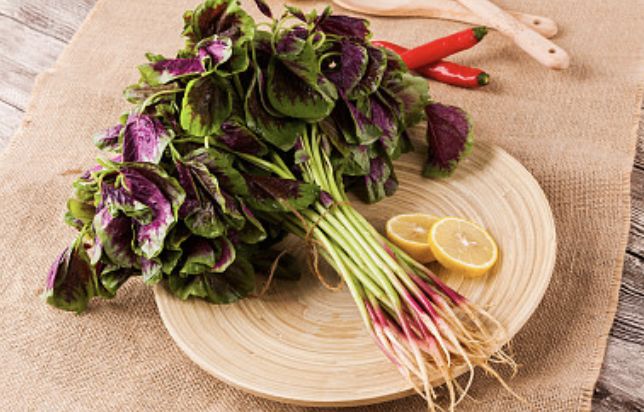 秋分攻略,秋分活动攻略