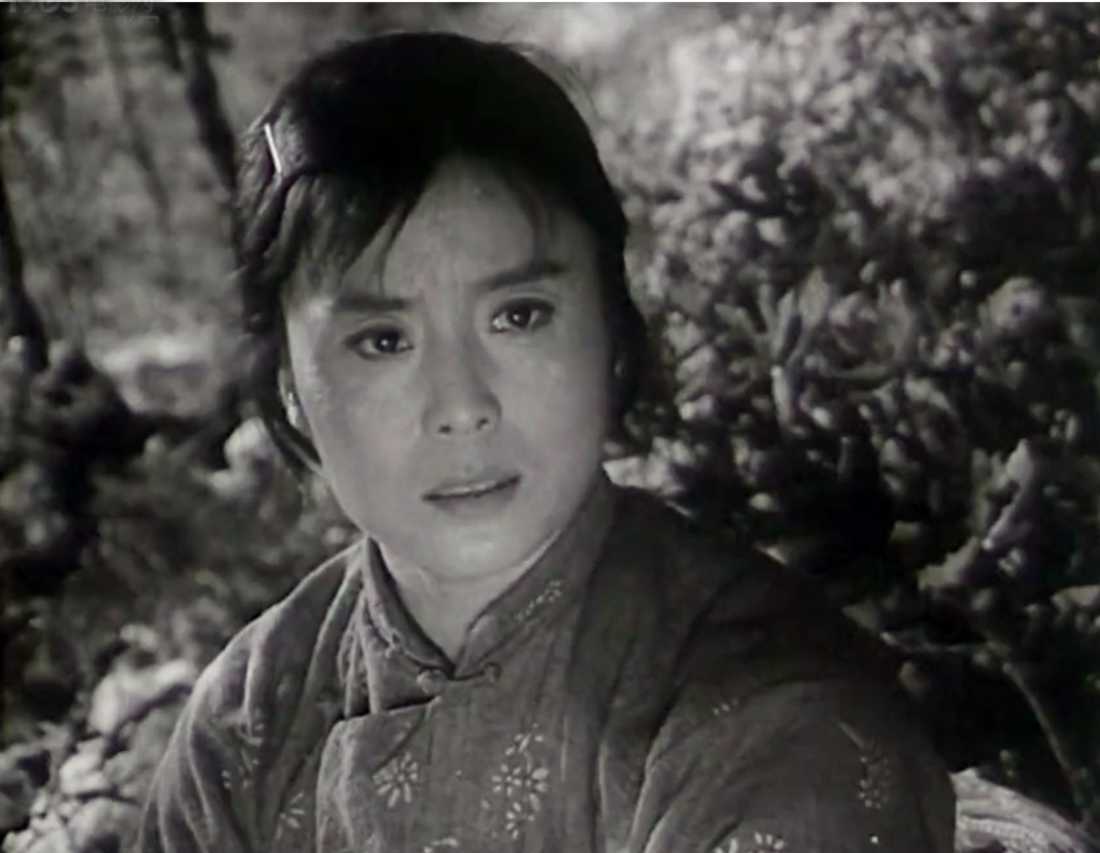 张圆年轻时照片,老演员张圆作品