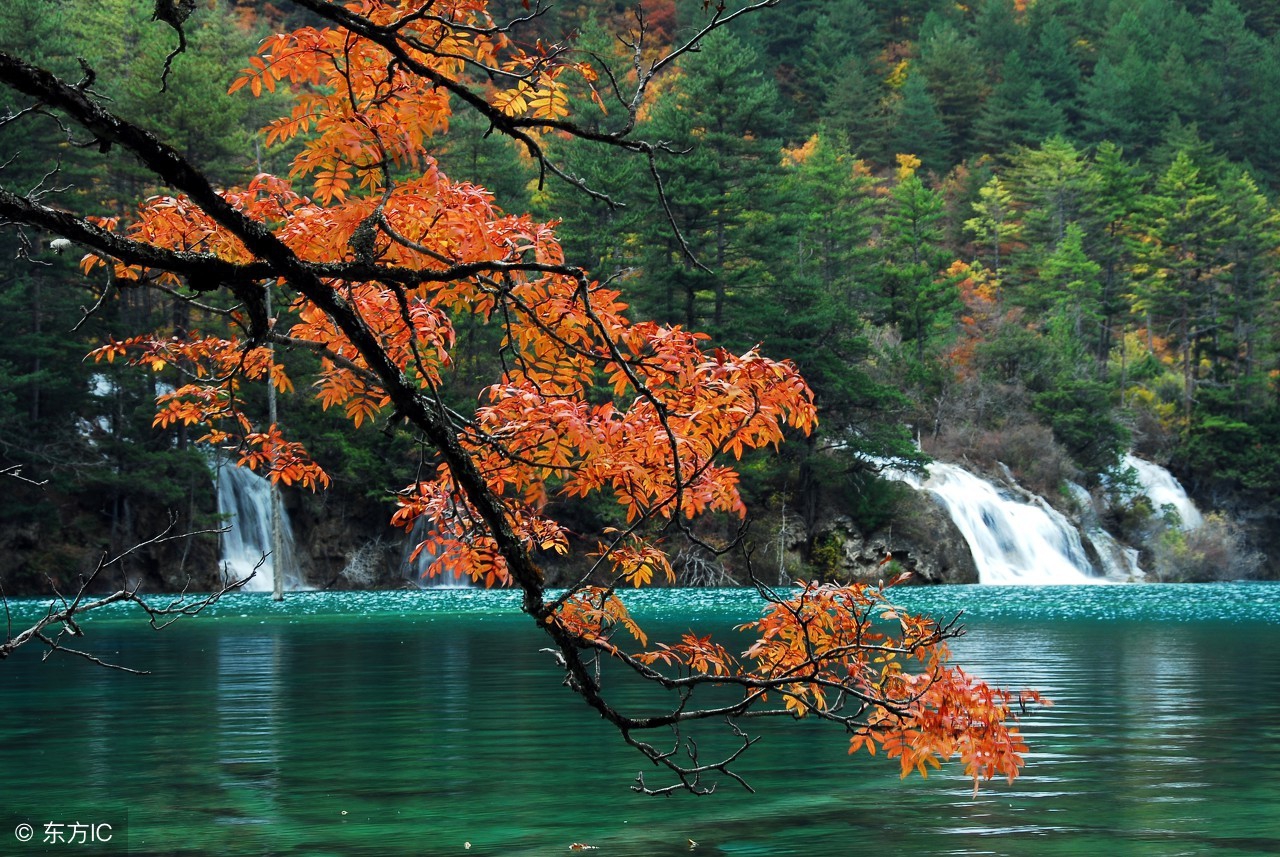 纳兰性德的悼亡诗名句,纳兰性德十首最著名诗