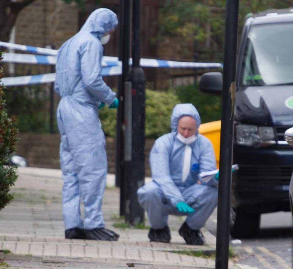 英国持刀犯罪,英国持刀杀人案件