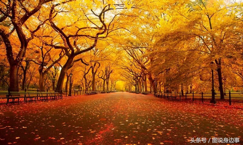 秋的句子短句,秋是一个充满诗意的季节