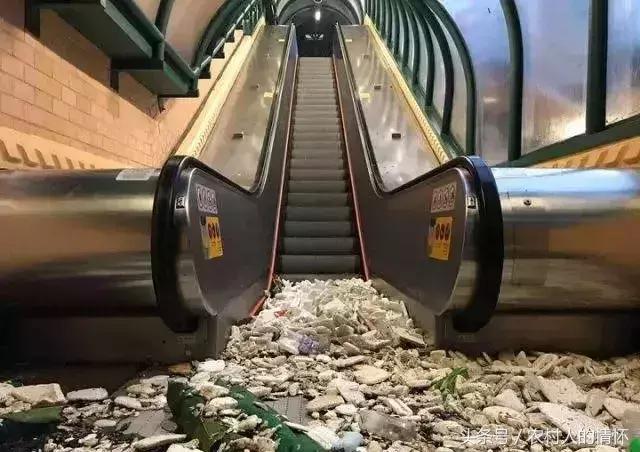 “三竹”过后真正的报应来了