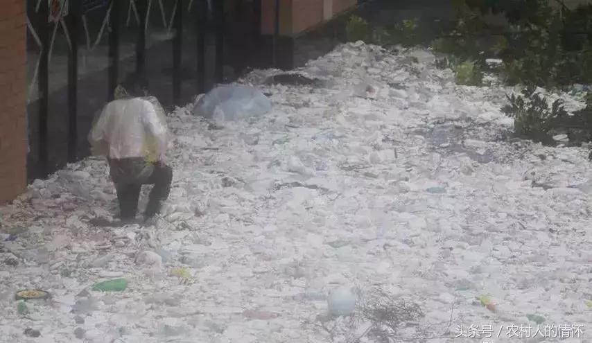 “三竹”过后真正的报应来了