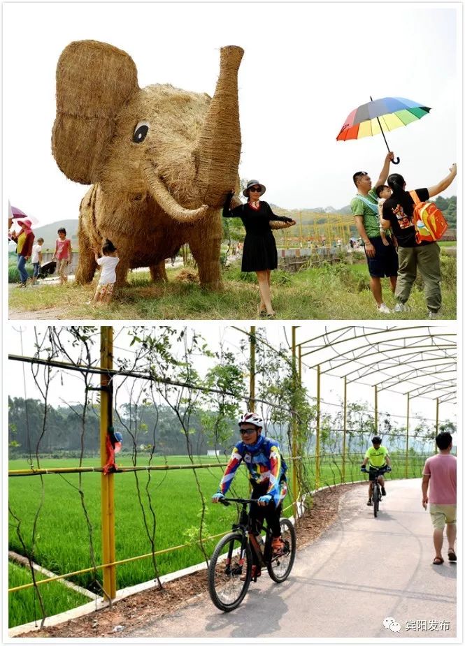 秋分客至月近人稻花香里闹丰年——宾阳县古辣镇第二届稻田艺术文化节暨首届农民丰收节开幕
