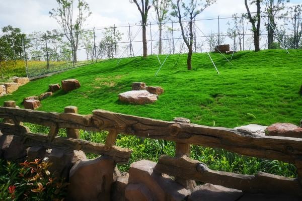 南通野生动物园免门票吗,南通野生动物园打折