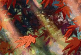 红叶秋天的一道独特风景,红叶美景惊艳了整个秋天