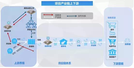 区块链供应链溯源,区块链溯源系统案例