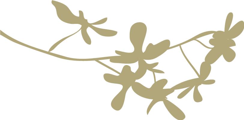 一年又到中秋日,与君共此时!福州中秋难赏月?这份拍摄秘籍要掌握!