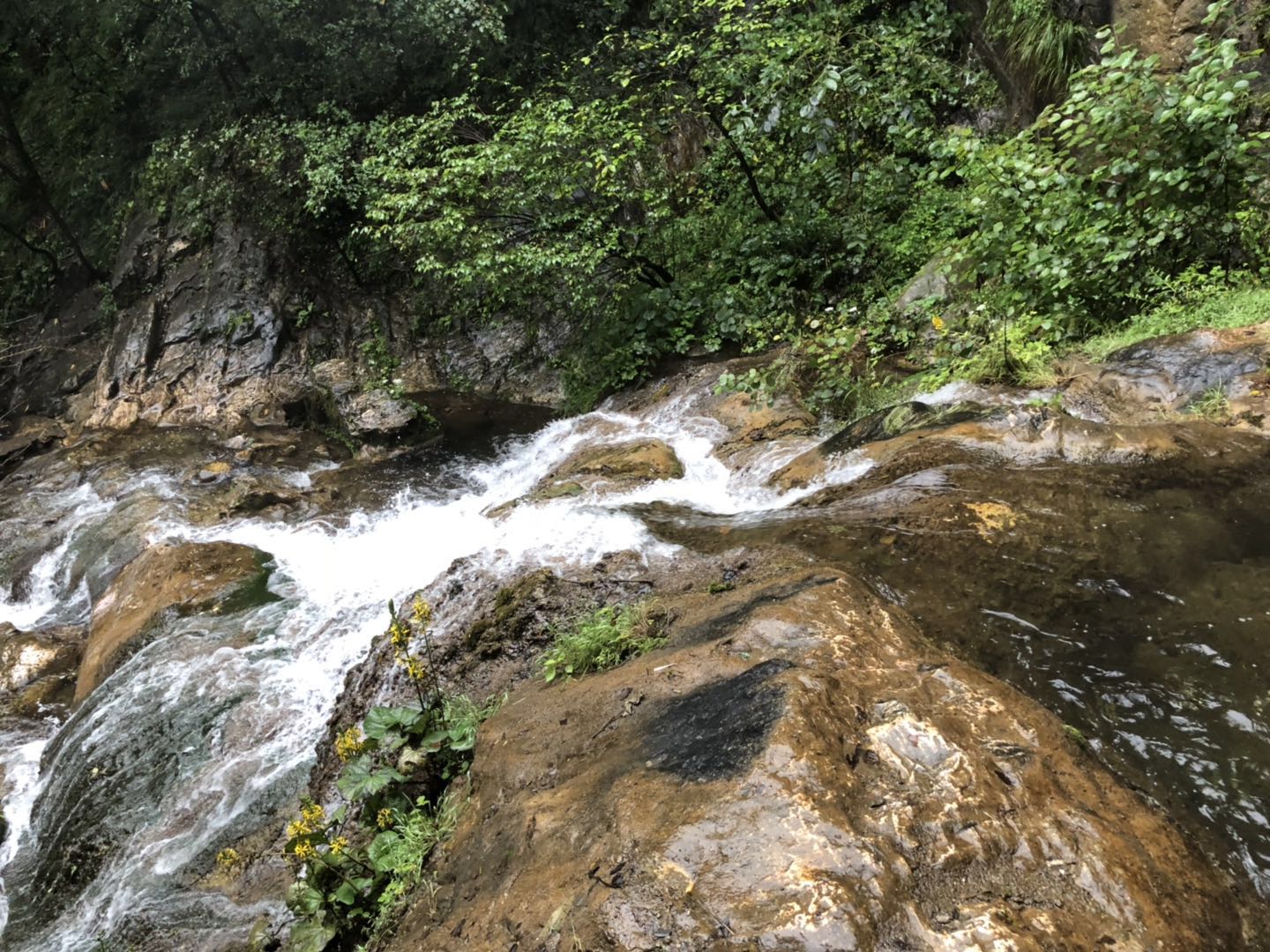 人间仙境洛阳栾川老君山,河南旅游景点推荐洛阳重渡沟
