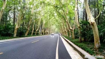 南京紫金山各大景区,南京旅游景点人少看紫金山