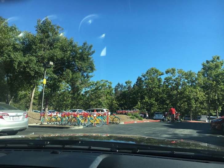 美国纽约自驾游最佳路线图,美国西部大环线自驾游攻略