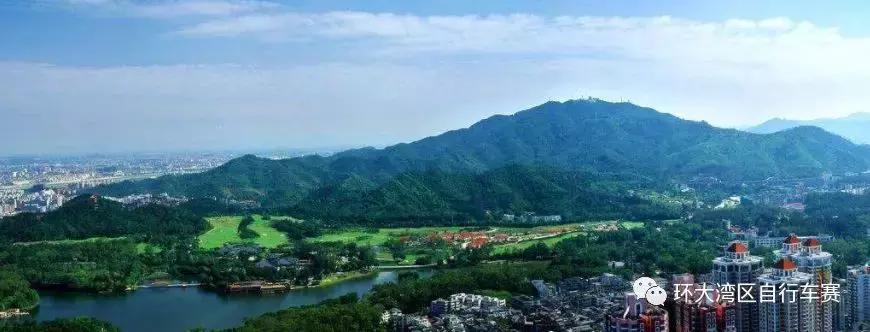 报名开始咯,报名啦