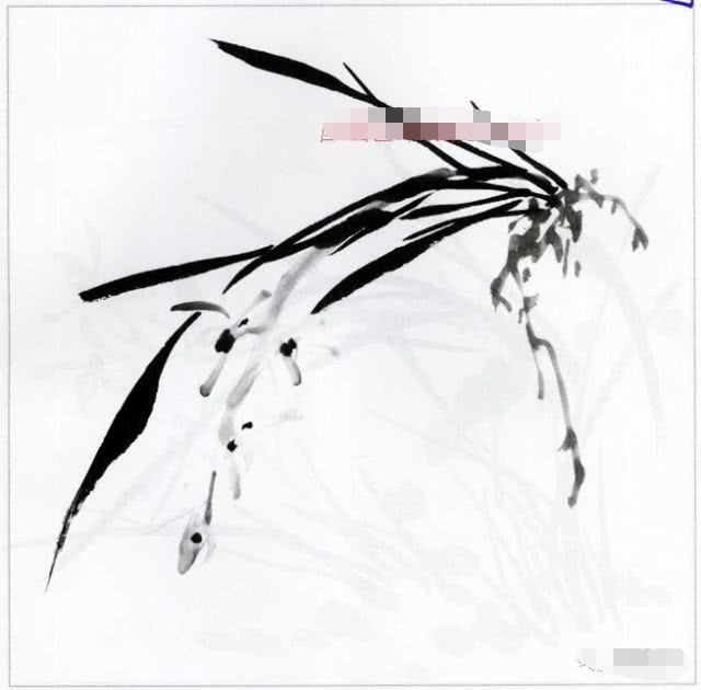 国画兰花的花头的画法,国画兰花画法小视频