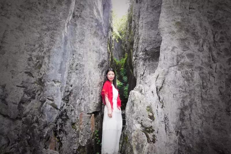 江川区网红粉黛乱子草,网红粉黛乱子草如梦似幻的美景