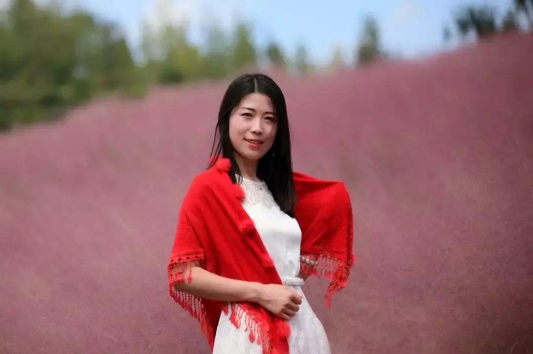 江川区网红粉黛乱子草,网红粉黛乱子草如梦似幻的美景