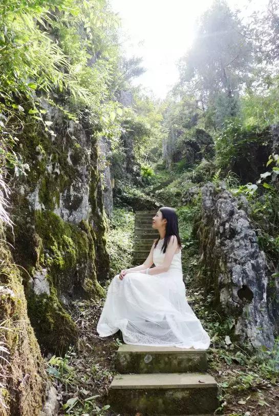 江川区网红粉黛乱子草,网红粉黛乱子草如梦似幻的美景