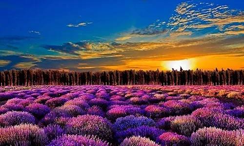 农秀才：农业农村部推荐100个休闲农业和乡村旅游精品景点线路