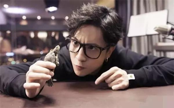 中国网红排行榜前十名都是哪里人,2020中国第一网红是谁