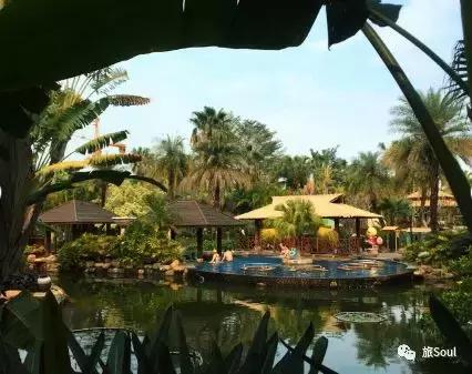 武汉到厦门自由行3-4天攻略,厦门鼓浪屿旅游攻略自由行攻略