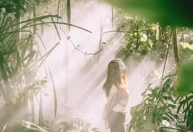 武汉到厦门自由行3-4天攻略,厦门鼓浪屿旅游攻略自由行攻略