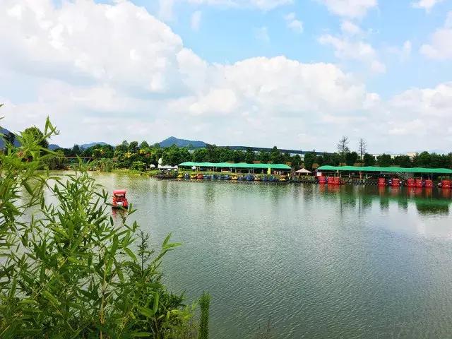 跟着萌宠过国庆，准备好迎接惊喜了吗？