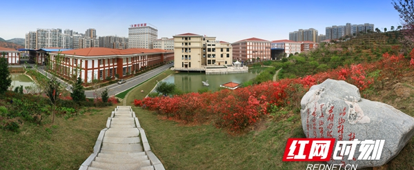 晚安家居38周年,晚安床垫2020纪念款