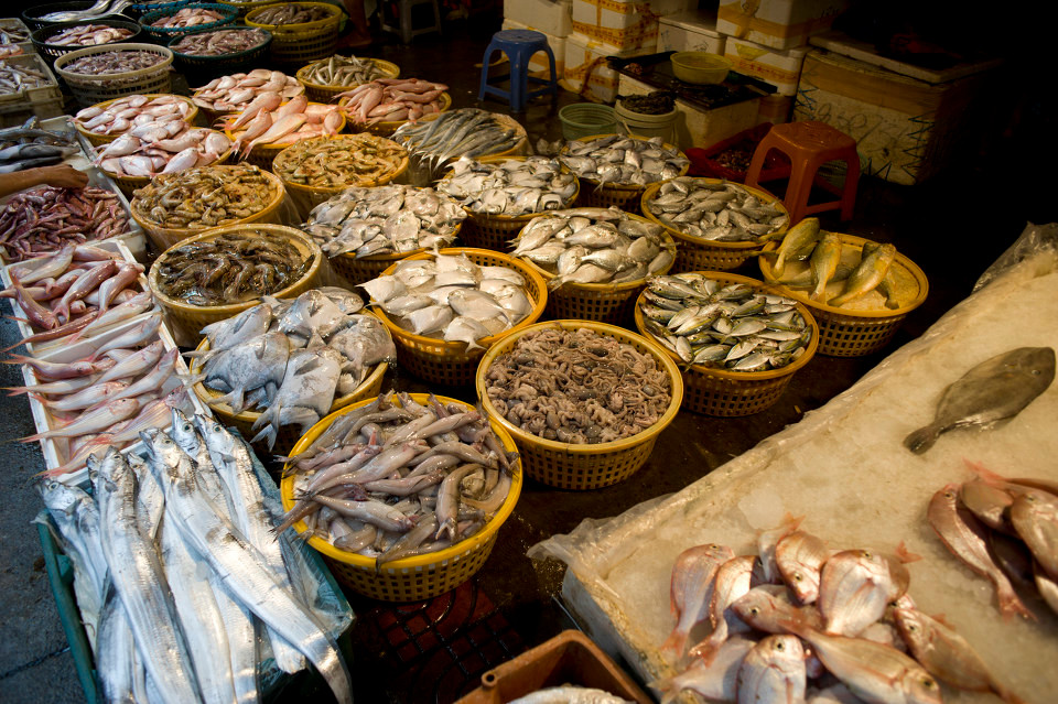海鲜店里鱼腥味太重怎么去除,海鲜店腥味要怎么去除