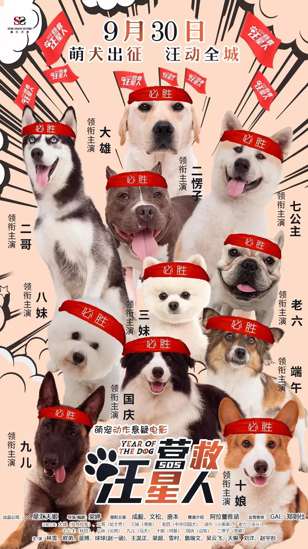 口袋影讯｜热热闹闹的国庆档来了！