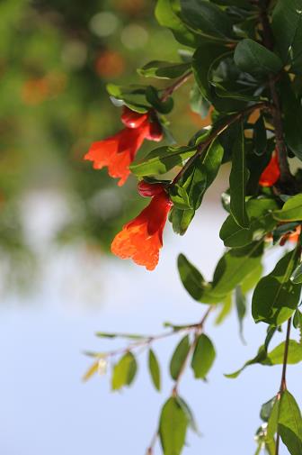 “可以吃的雅诗兰黛”？当季正大量上市，女性朋友特别注意了