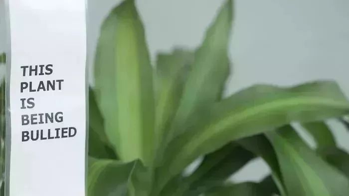 连续30天辱骂一盆花会怎么样,对植物骂30天会怎么样