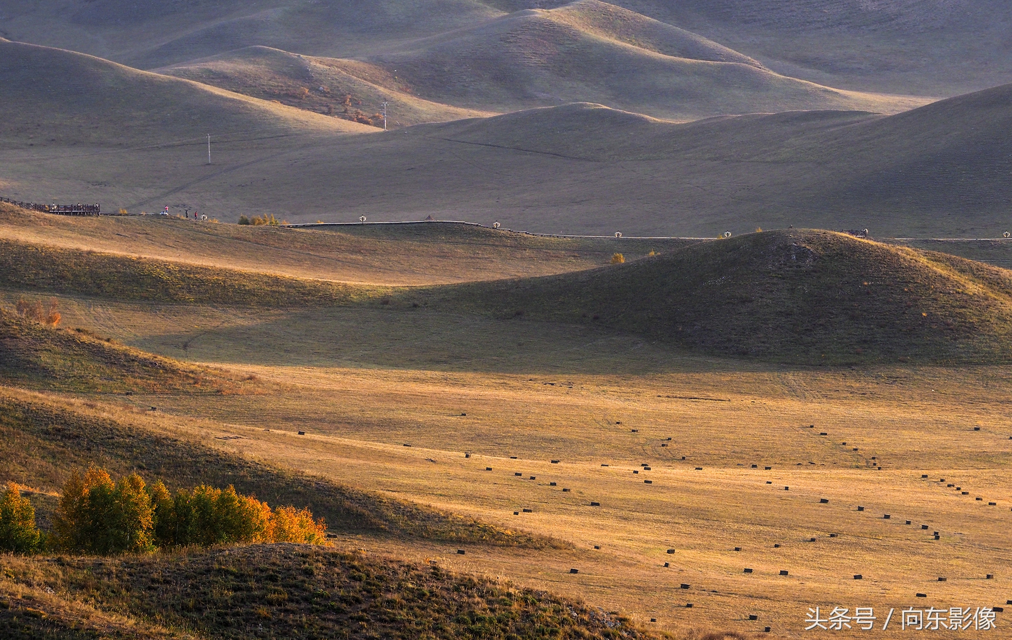 奥林巴斯配什么镜头,奥林巴斯配曲