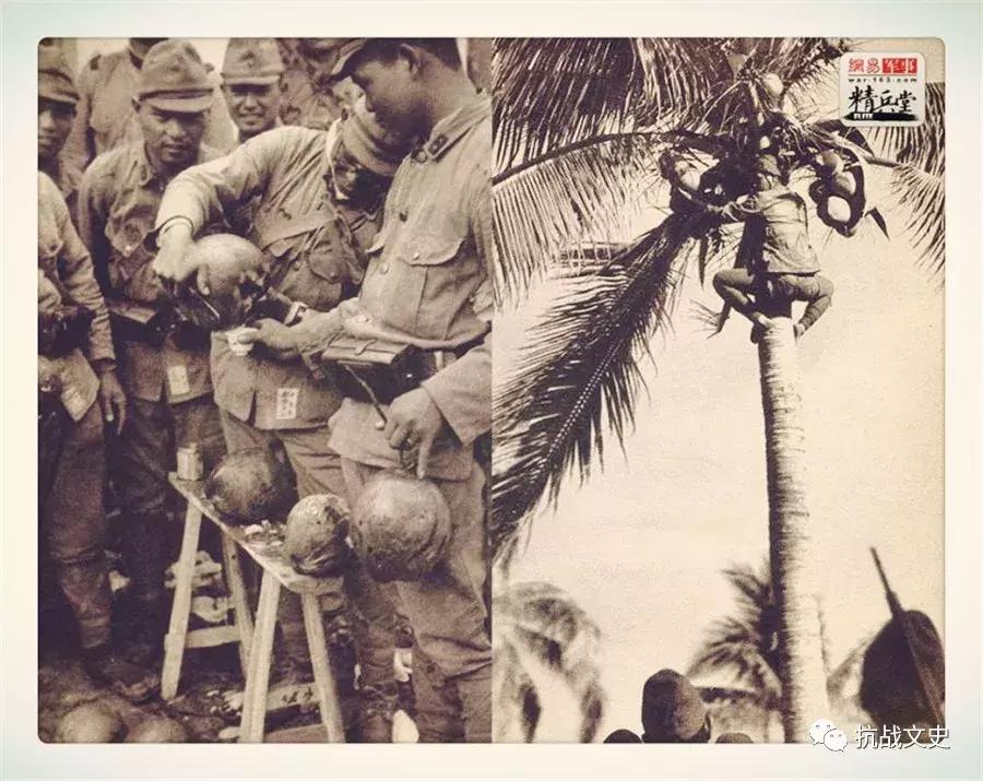 食人恶魔吃什么最好,二战时期日军的食人族