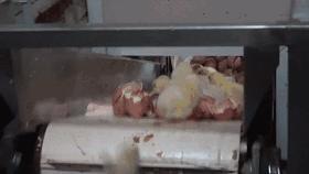 生活究竟有多么残酷,如果你觉得生活很苦不妨看一看