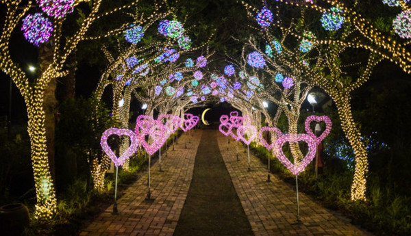 到济州岛旅行行程,济州岛一年往返12次