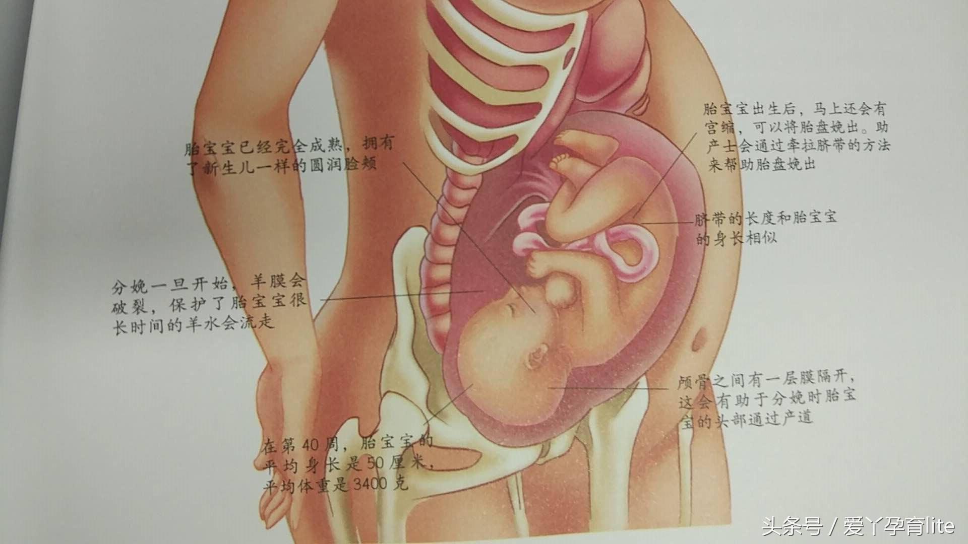 30岁孕妈该注意事项,高龄孕妇怀孕1个月成功率