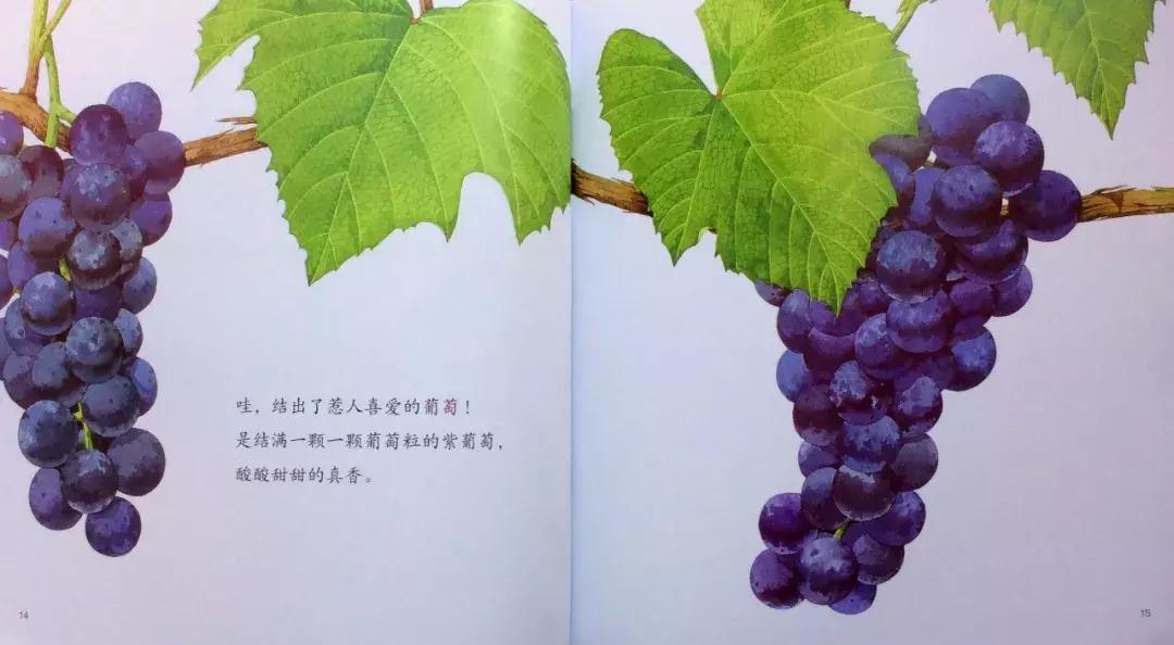 儿童益智书籍3-6岁绘本,宝宝图书1-3岁大绘本