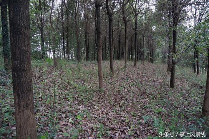 关公父子是怎么遇害的,关公败走麦城如何被杀